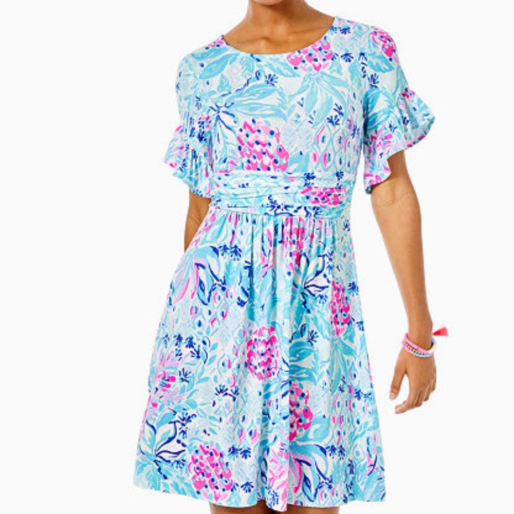 Lilly Pulitzer Riegan Dress Size Small